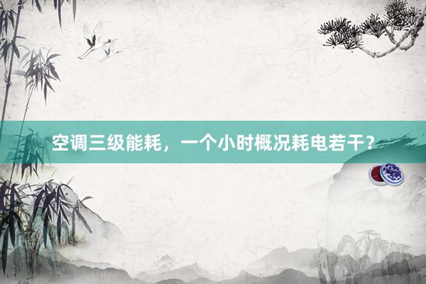 空调三级能耗，一个小时概况耗电若干？